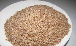 WHEAT GRAINS TO BE USED FOR MOI MOI